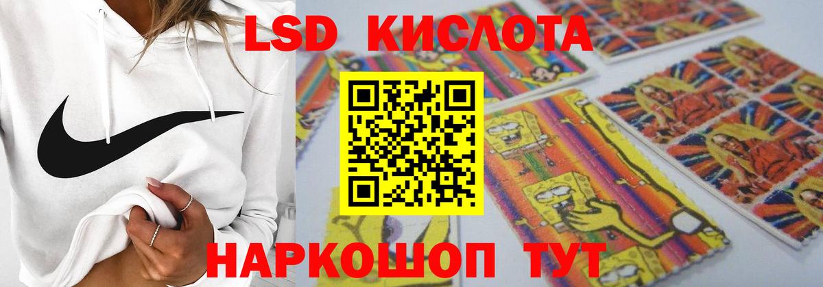 Ковров  блэк спрут ссылка  Вход с VPN  ЛСД экстази ecstasy  ЛСД экстази кислота 