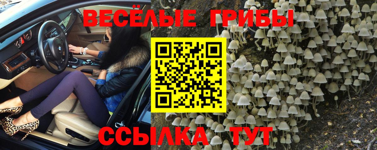 где найти   Галлюциногенные грибы мицелий  Вход с VPN  Ковров 
